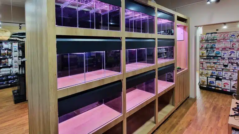 regały akwarystyczne