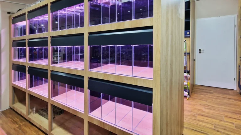 regały akwarystyczne